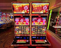 7696 bet
