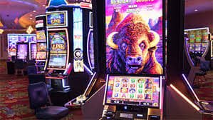 7696 bet